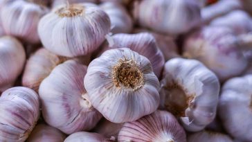 Garlic Photo by Jeferson Santos on Pexels
