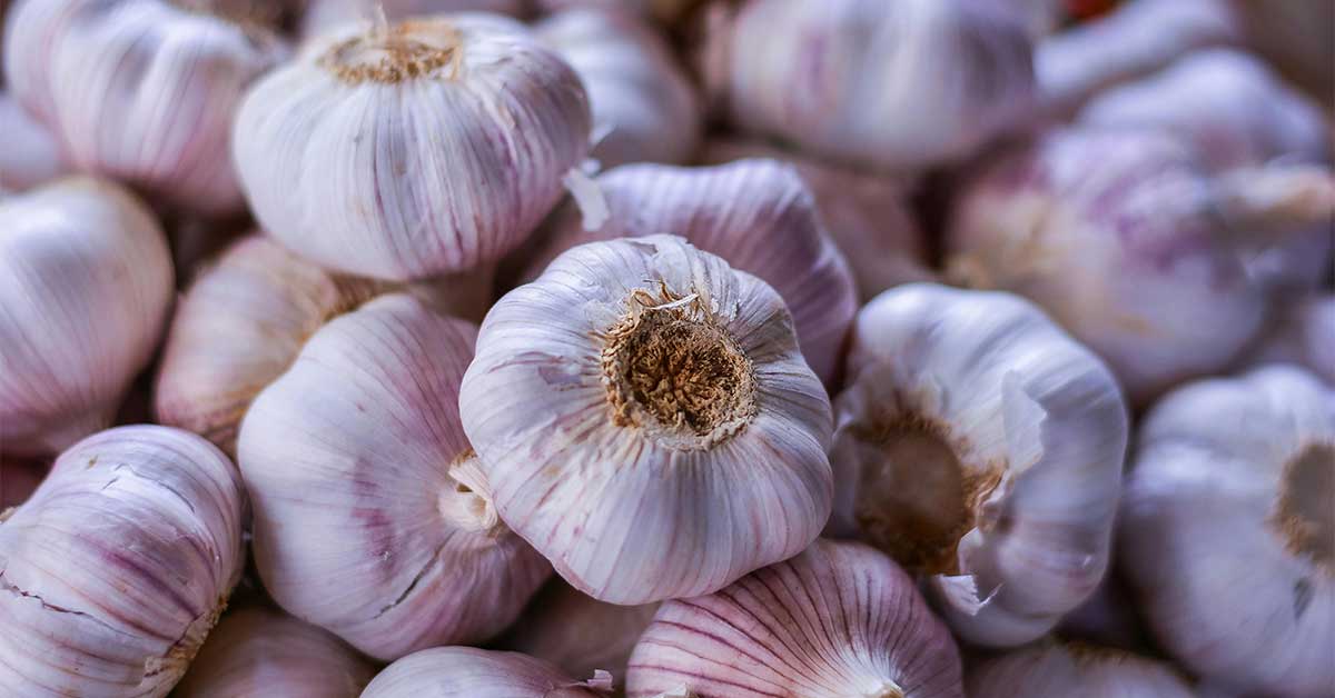Garlic Photo by Jeferson Santos on Pexels