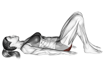 Glute Bridge Glute Bridge