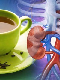 Green Tea and Kidney Function: What the Studies Actually Show