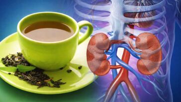 Green Tea and Kidney Health