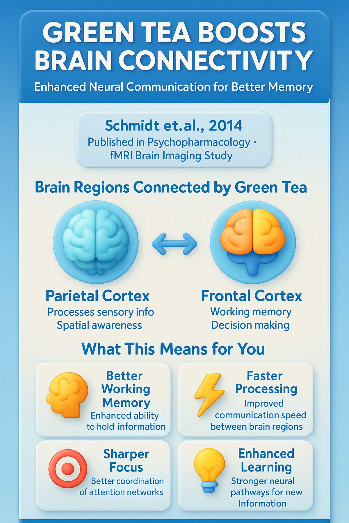 Green Tea Boosts Brain Connectivity