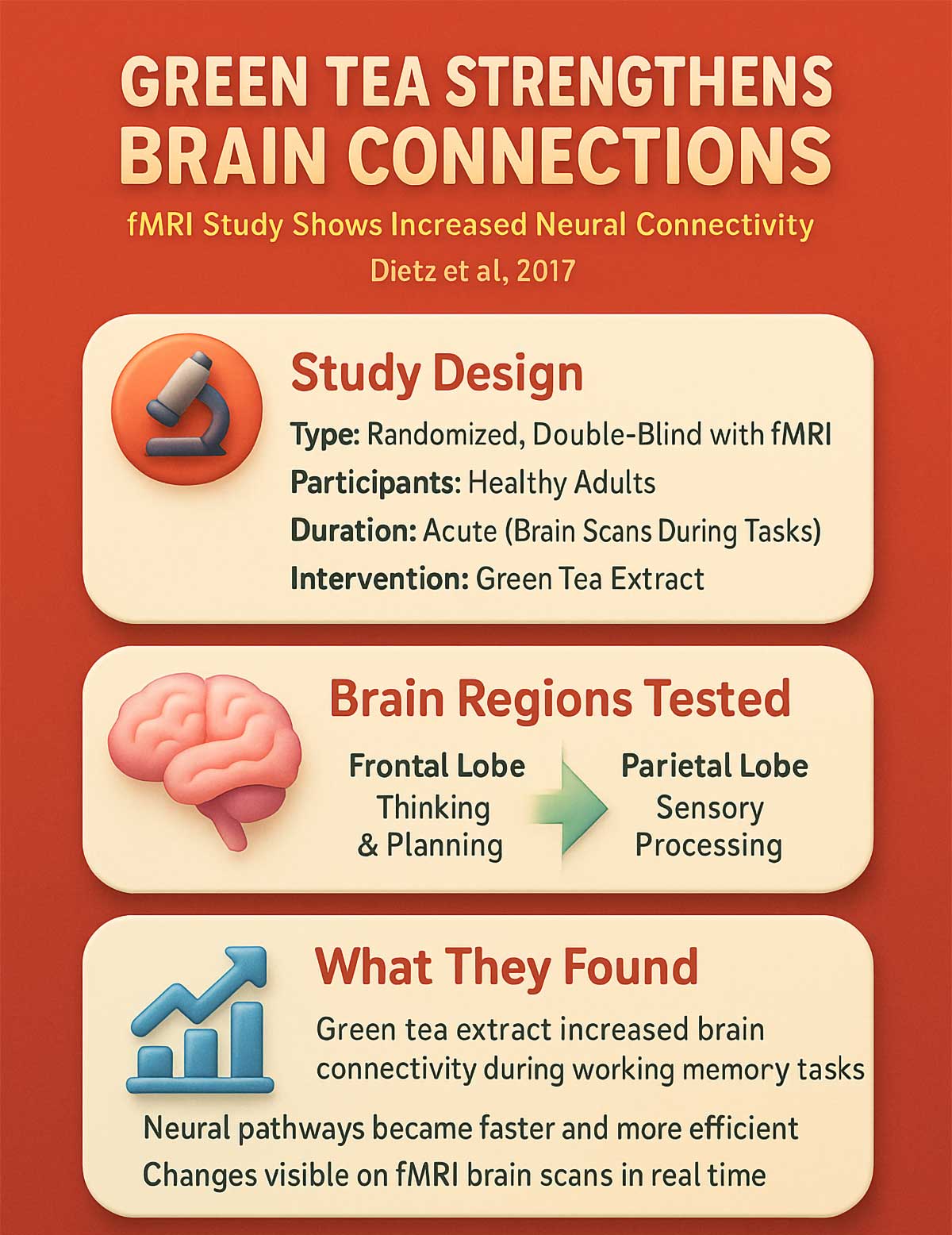 Green Tea Brain Connectivity Study Green Tea Brain Connectivity Study