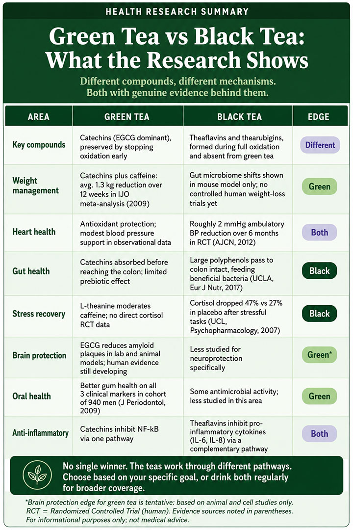 Green Tea vs Black Tea What the Research Shows Green Tea vs Black Tea What the Research Shows