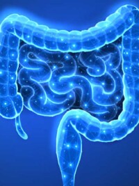 The Combo That Beats Chia Alone for Gut Health