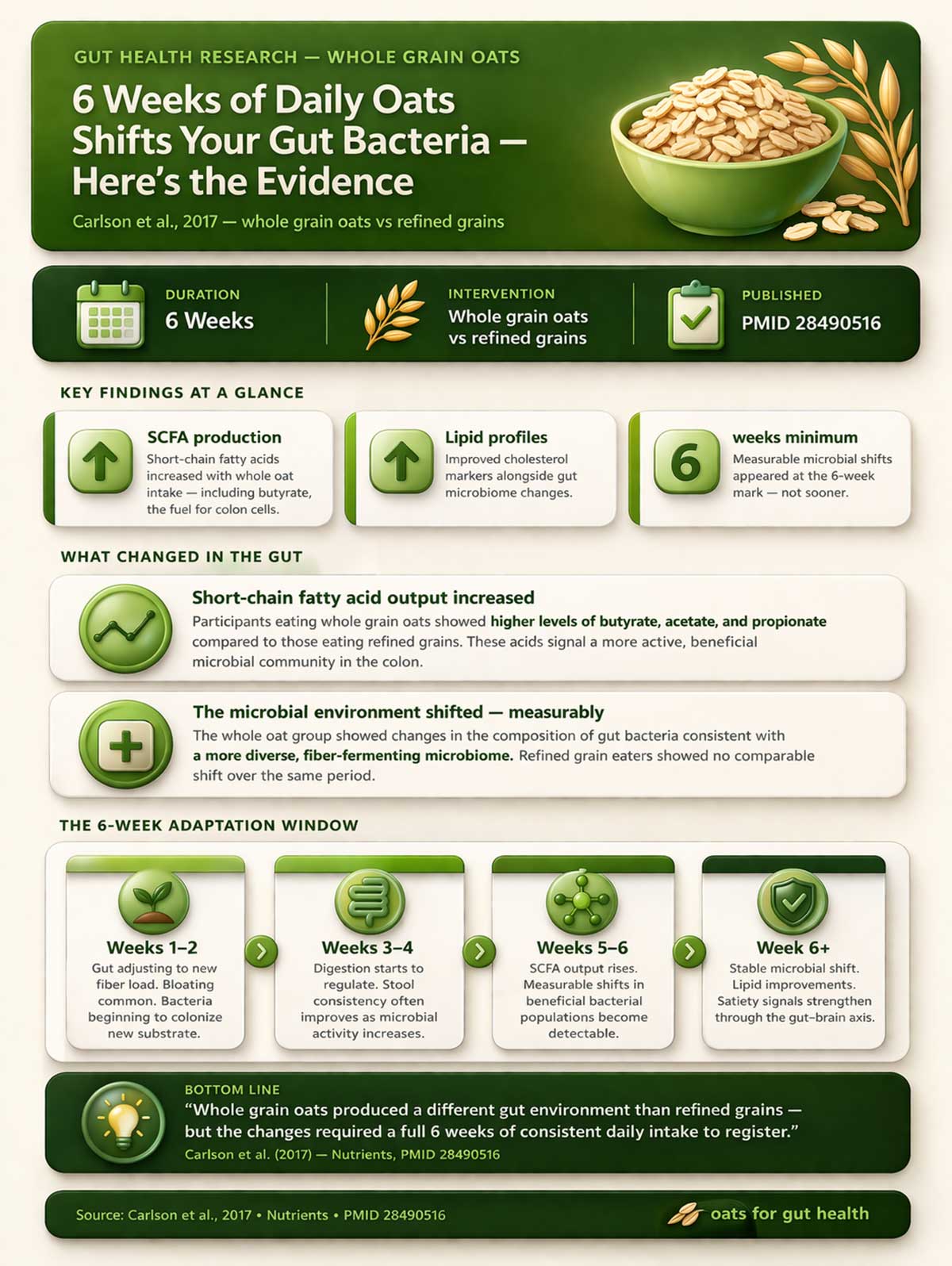 Gut health benefits of whole oats