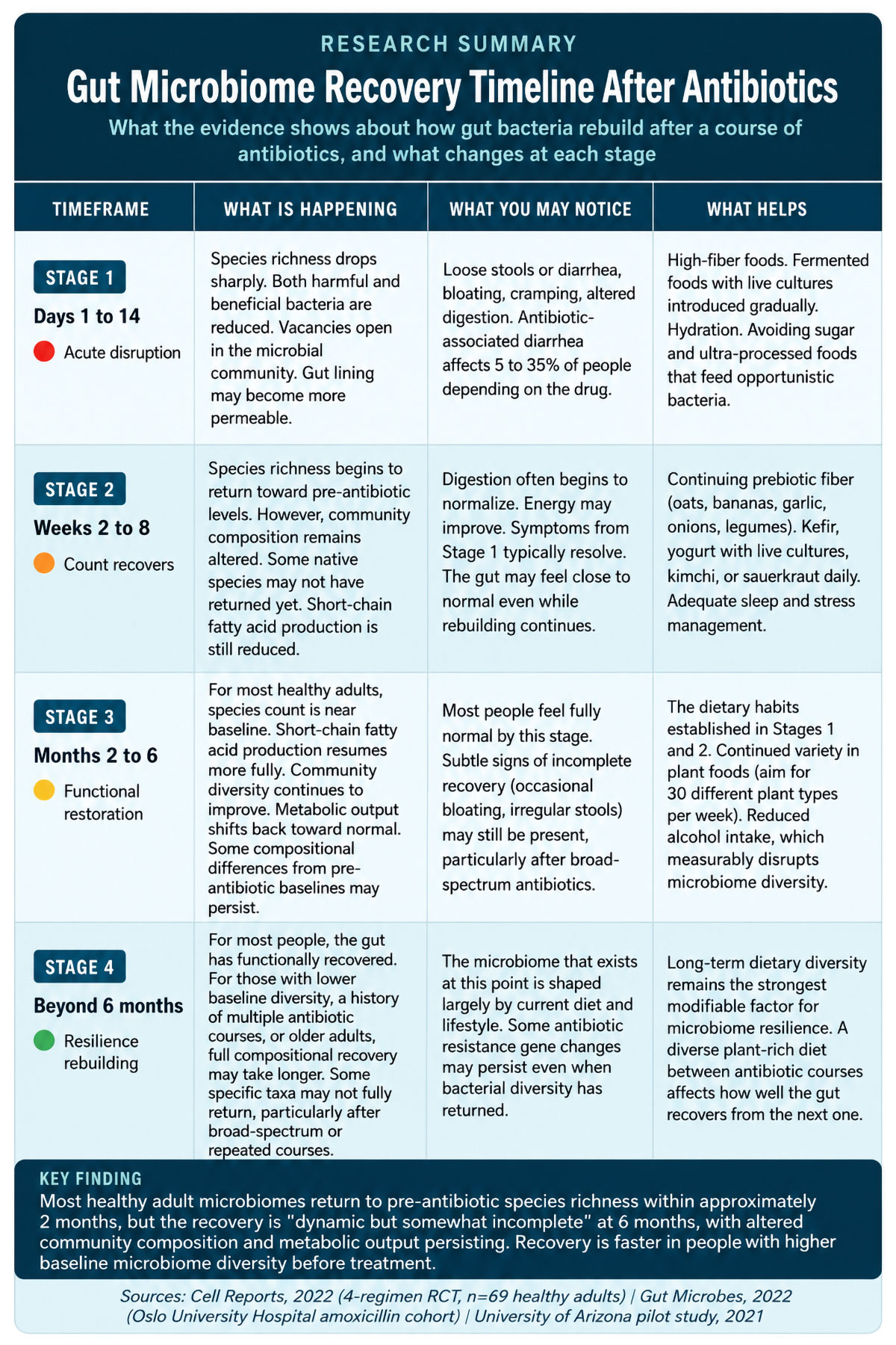 Gut Microbiome Recovery Timeline After Antibiotics