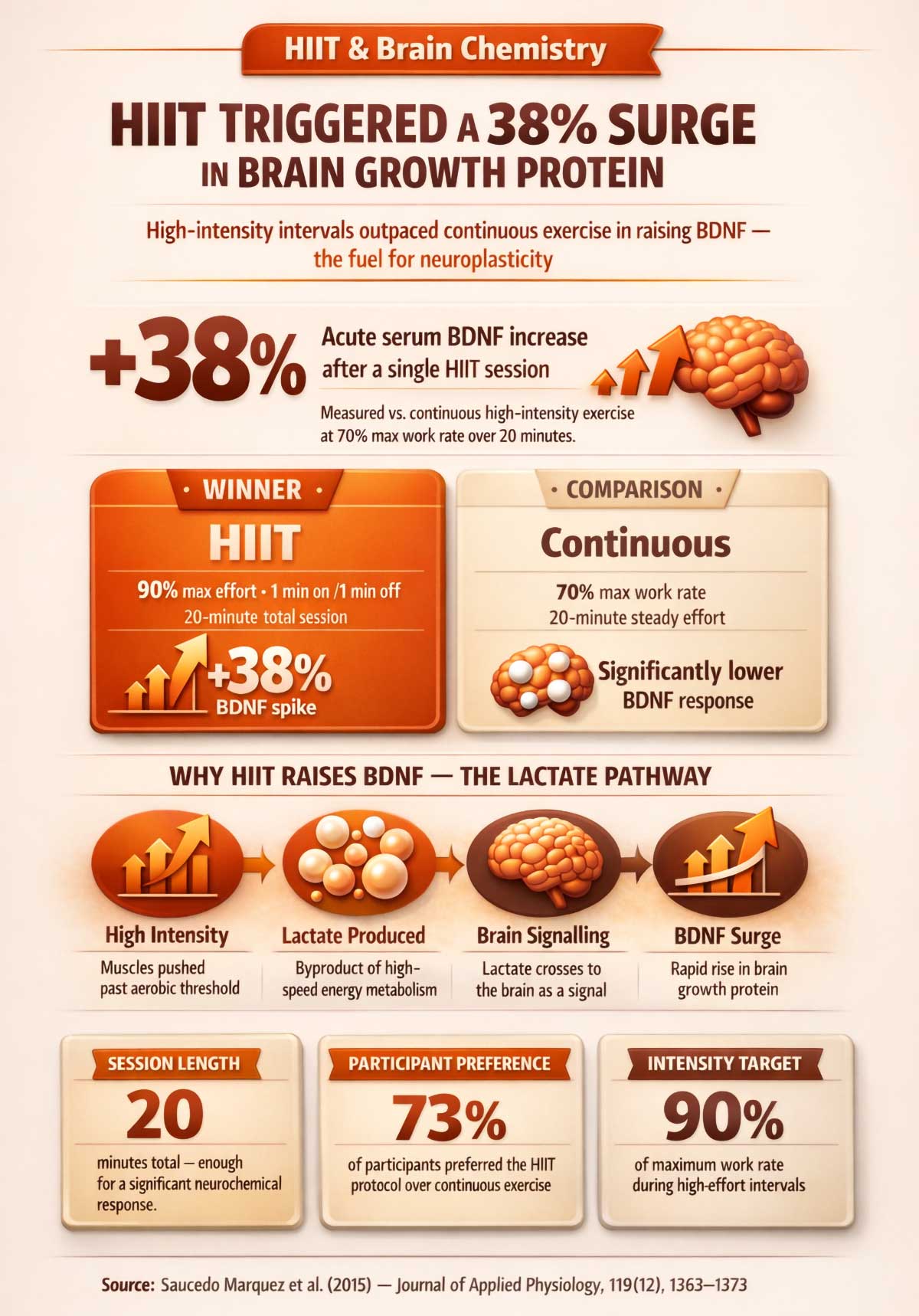 HIIT boosts brain growth protein HIIT boosts brain growth protein