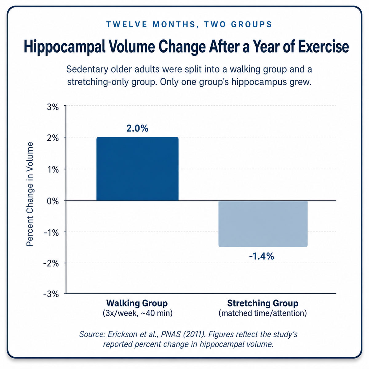 Hippocampal Volume Change After a Year of Exercise Hippocampal Volume Change After a Year of Exercise