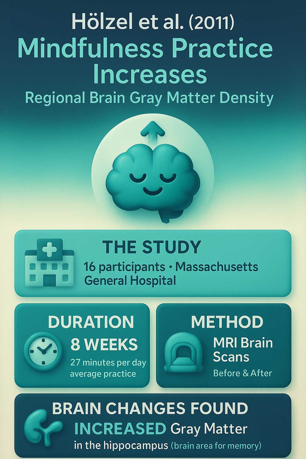 Hölzel et al. () Brain Gray Matter Study Hölzel et al. () Brain Gray Matter Study