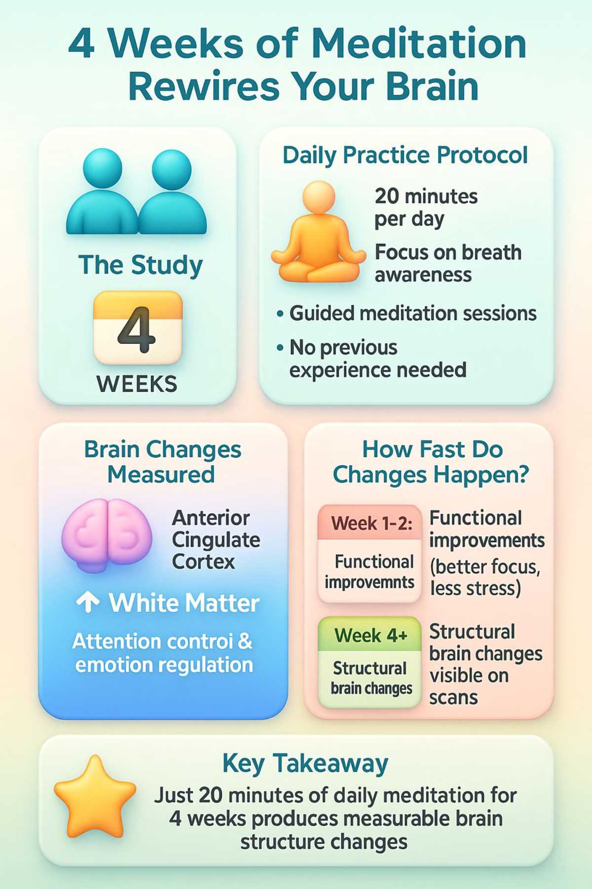 How Weeks of Meditation Changes Brain Structure Tang Study