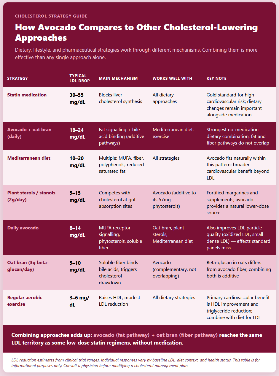 How Avocado Compares to Other Cholesterol Lowering Approaches How Avocado Compares to Other Cholesterol Lowering Approaches