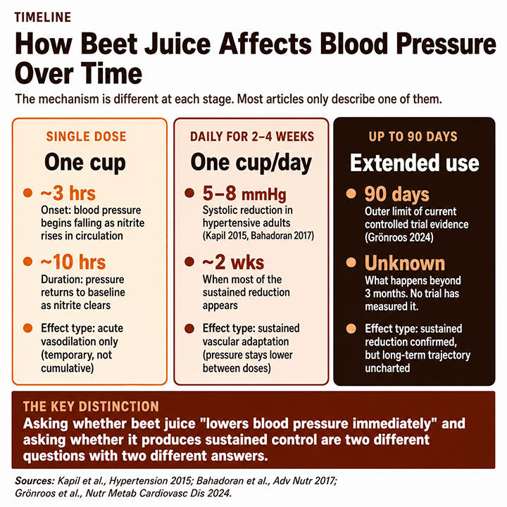 How Beet Juice Affects Blood Pressure How Beet Juice Affects Blood Pressure