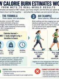 How Many Calories Does Your Body Actually Burn?