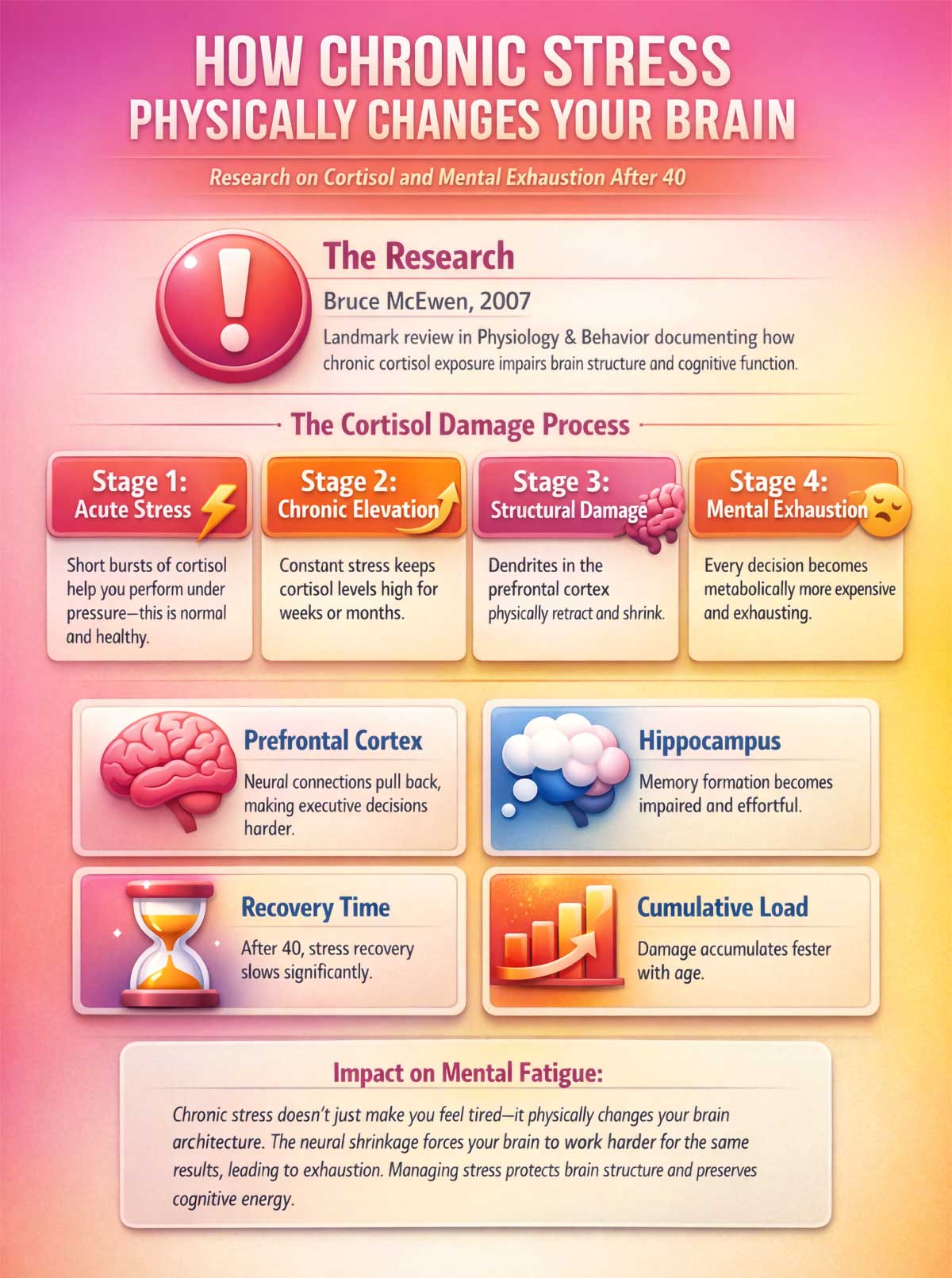 How Chronic Stress Physically Changes Your Brain How Chronic Stress Physically Changes Your Brain