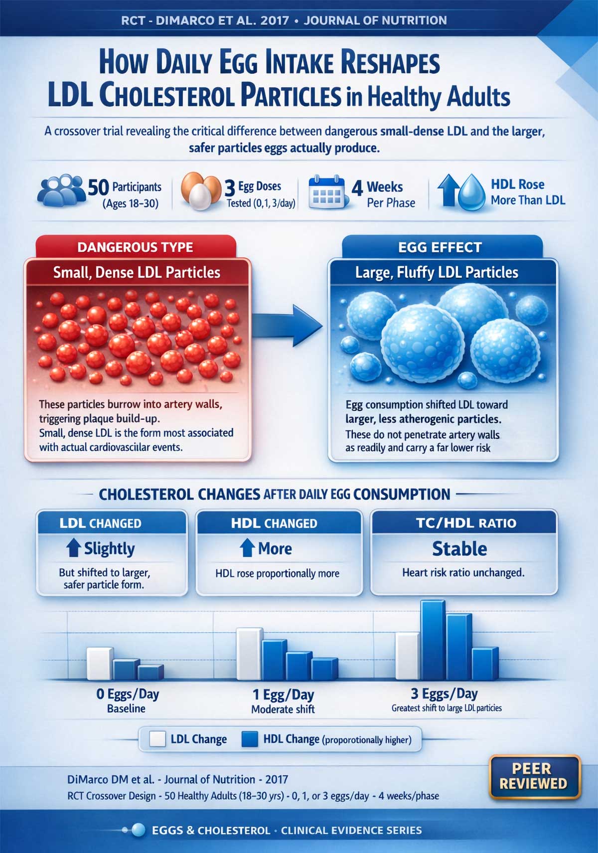 How Eggs Change LDL Cholesterol Particles How Eggs Change LDL Cholesterol Particles