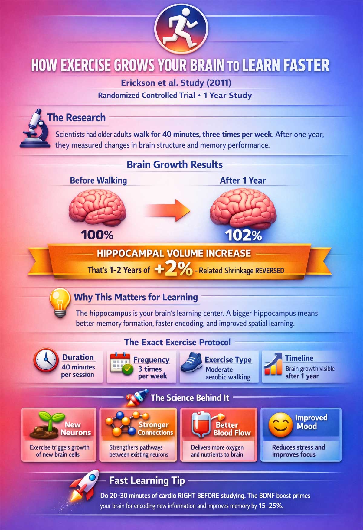 How Exercise Grows Your Brain to Learn Faster How Exercise Grows Your Brain to Learn Faster