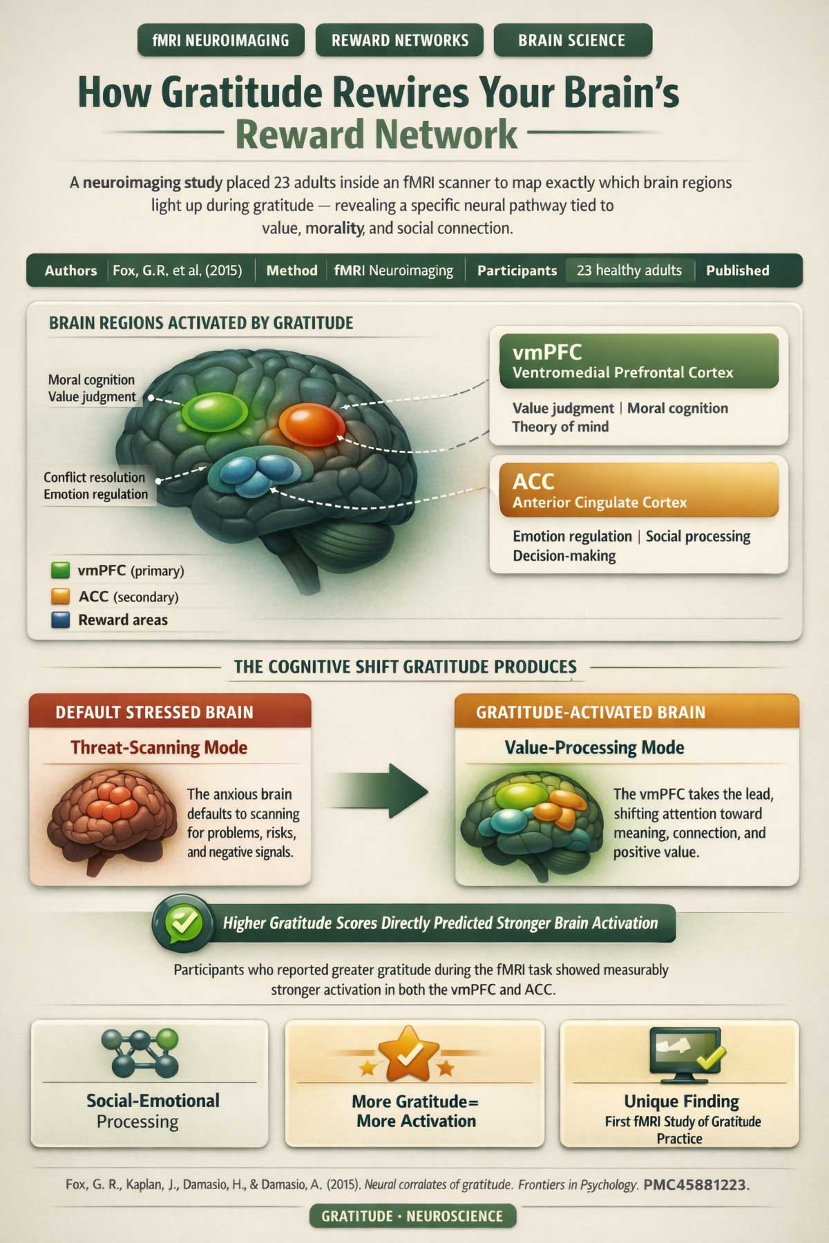 How Gratitude Changes Your Brain