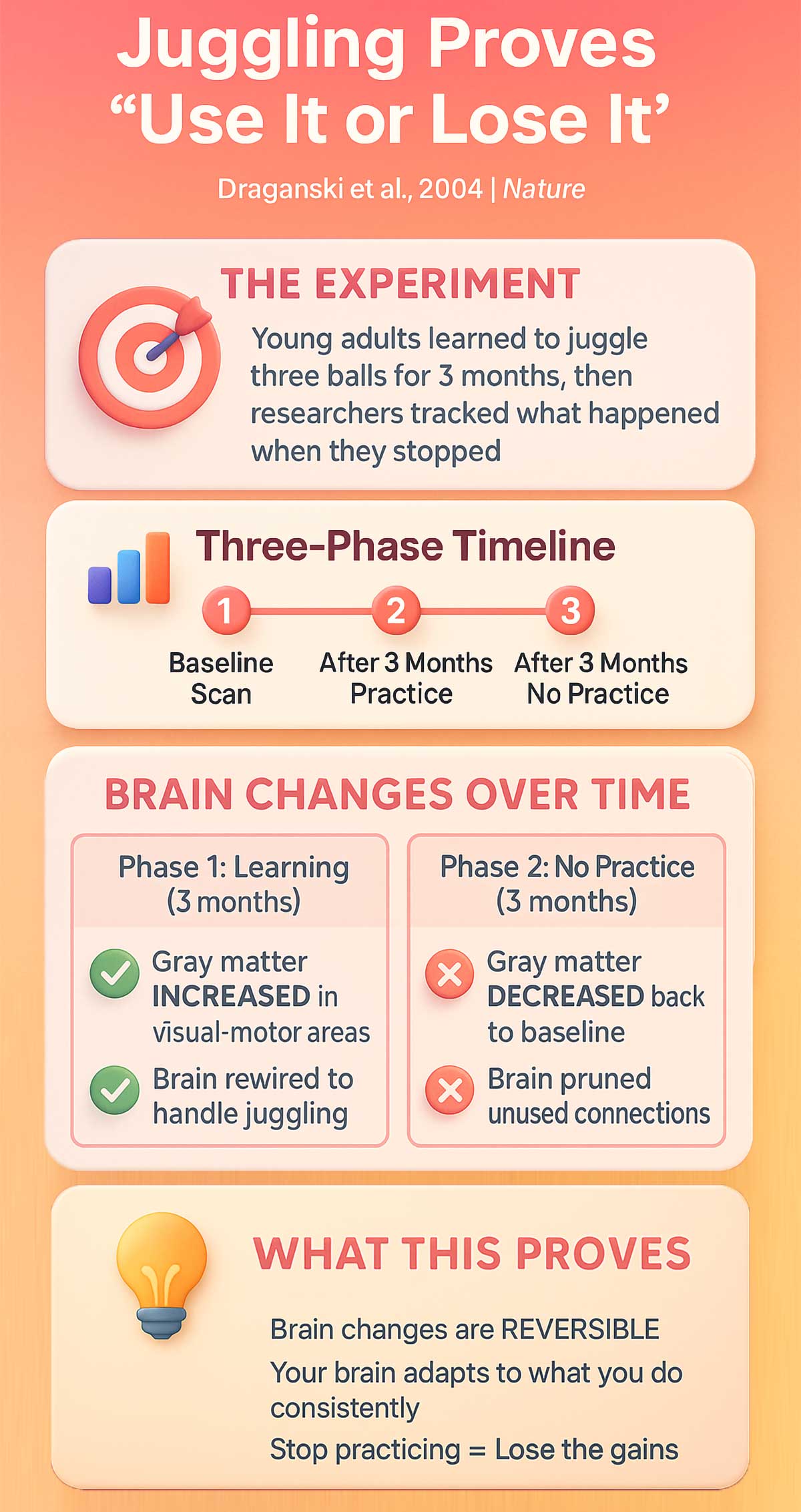 How Learning to Juggle Changes Brain Structure Draganski Study