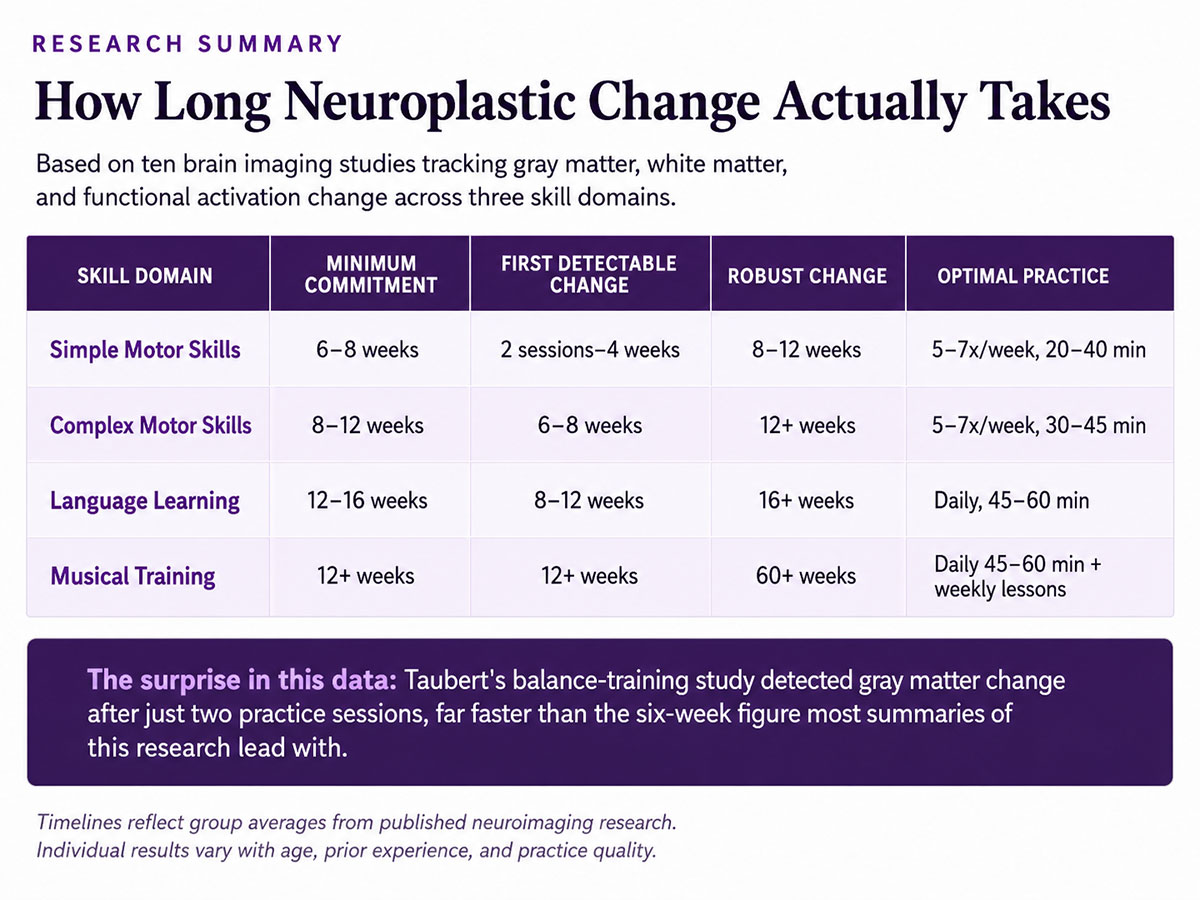 How Long Neuroplastic Change Actually Takes How Long Neuroplastic Change Actually Takes