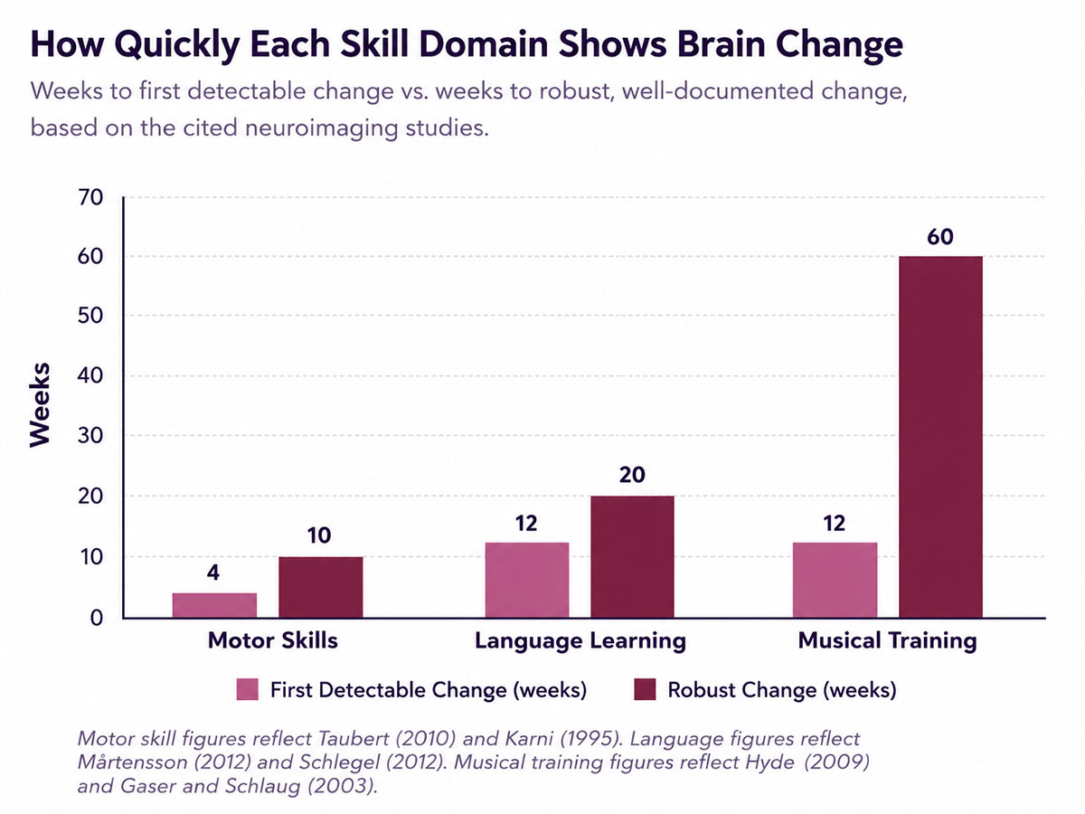 How Quickly Each Skill Domain Shows Brain Change How Quickly Each Skill Domain Shows Brain Change