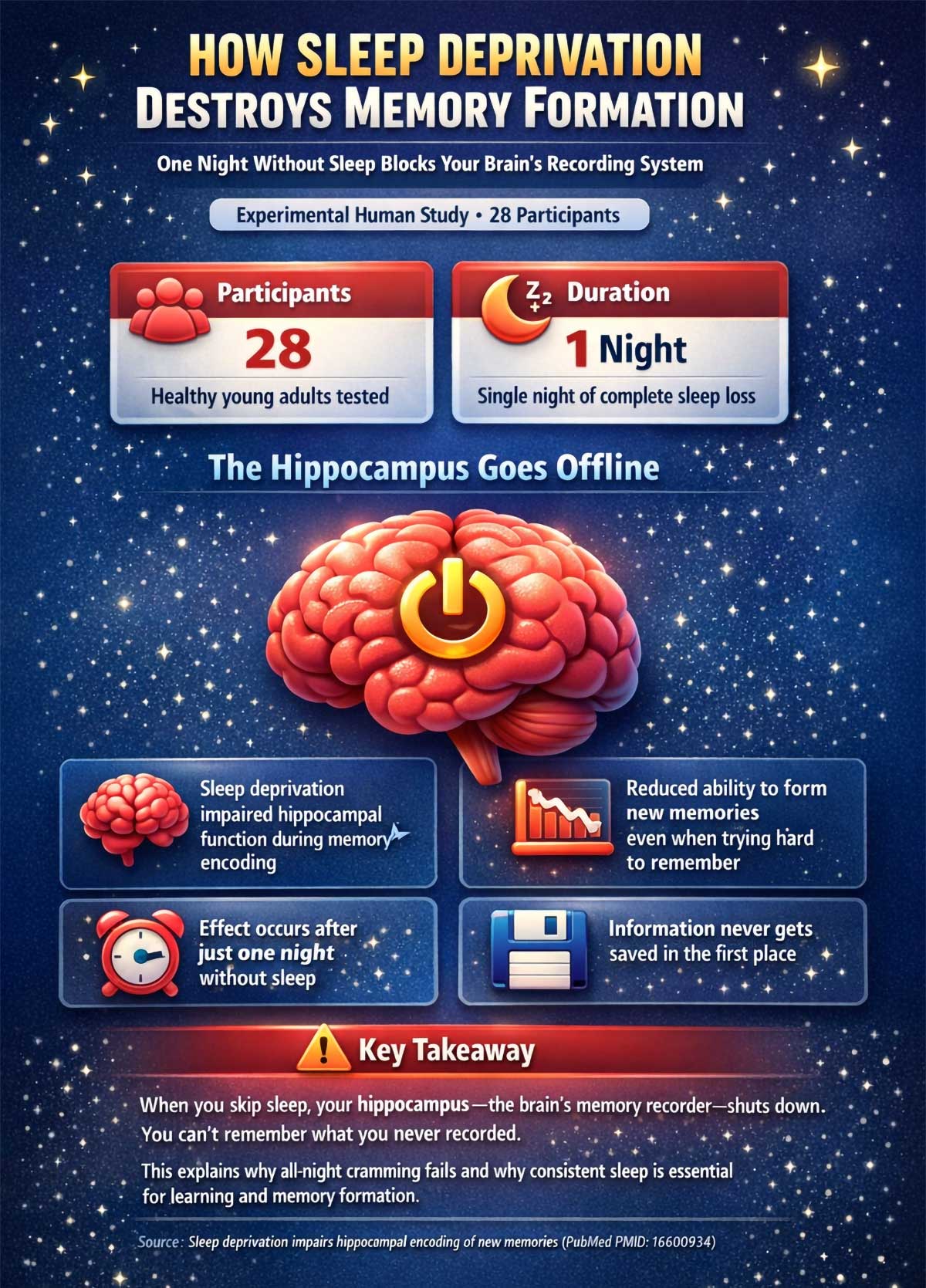 How Sleep Deprivation Destroys Memory Formation