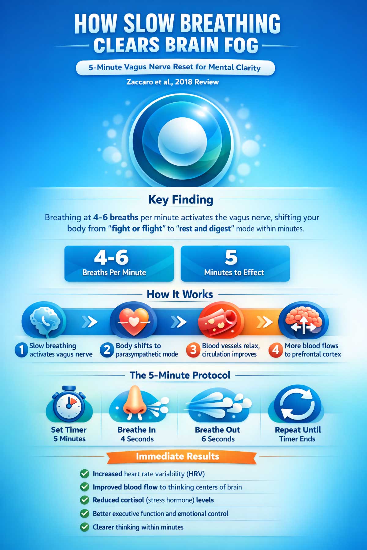 How Slow Breathing Clears Brain Fog in Minutes