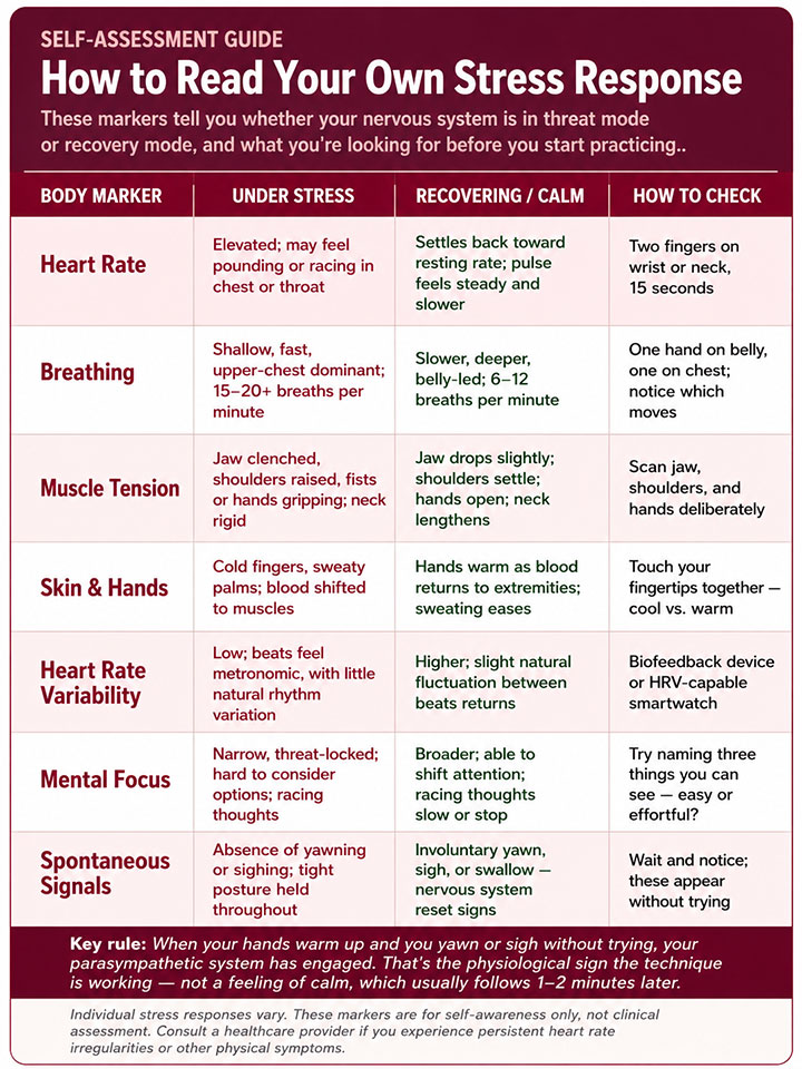 How to Read Your Own Stress Response How to Read Your Own Stress Response