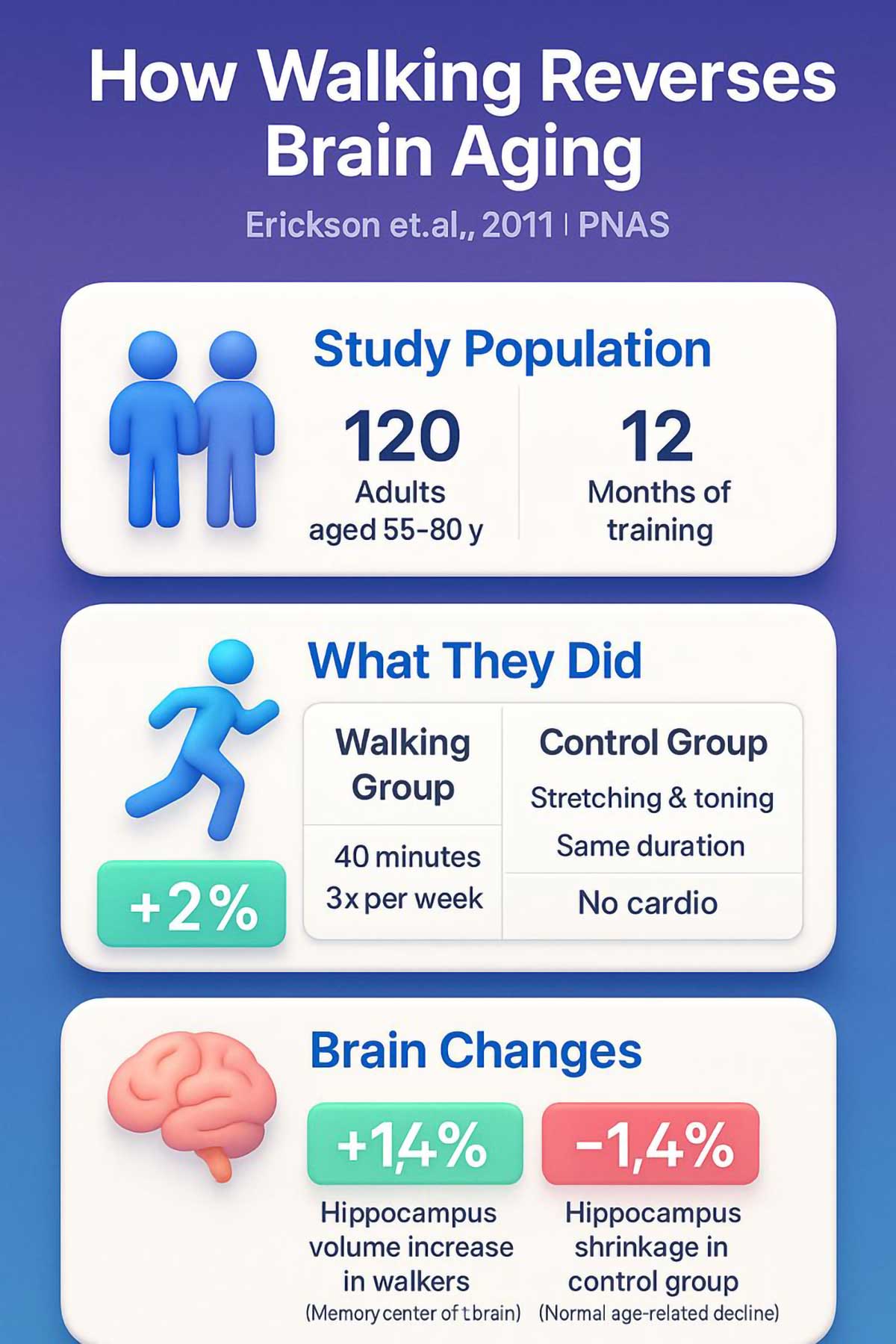 How Walking Reverses Brain Aging