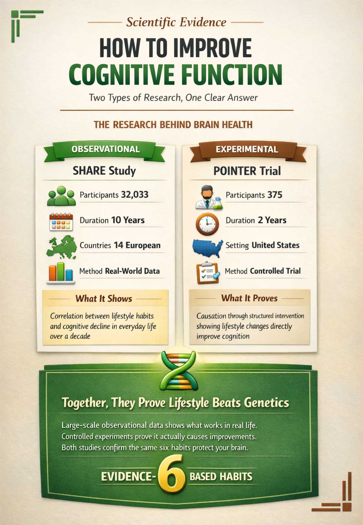 Improve Cognitive Function Improve Cognitive Function