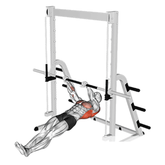 inverted row inverted row