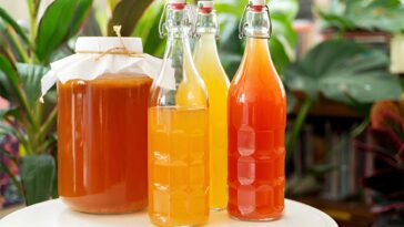 Is Kombucha Really Good for Gut Health