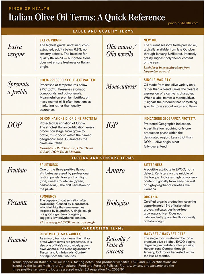 Italian Olive Oil Terms A Quick Reference Italian Olive Oil Terms A Quick Reference