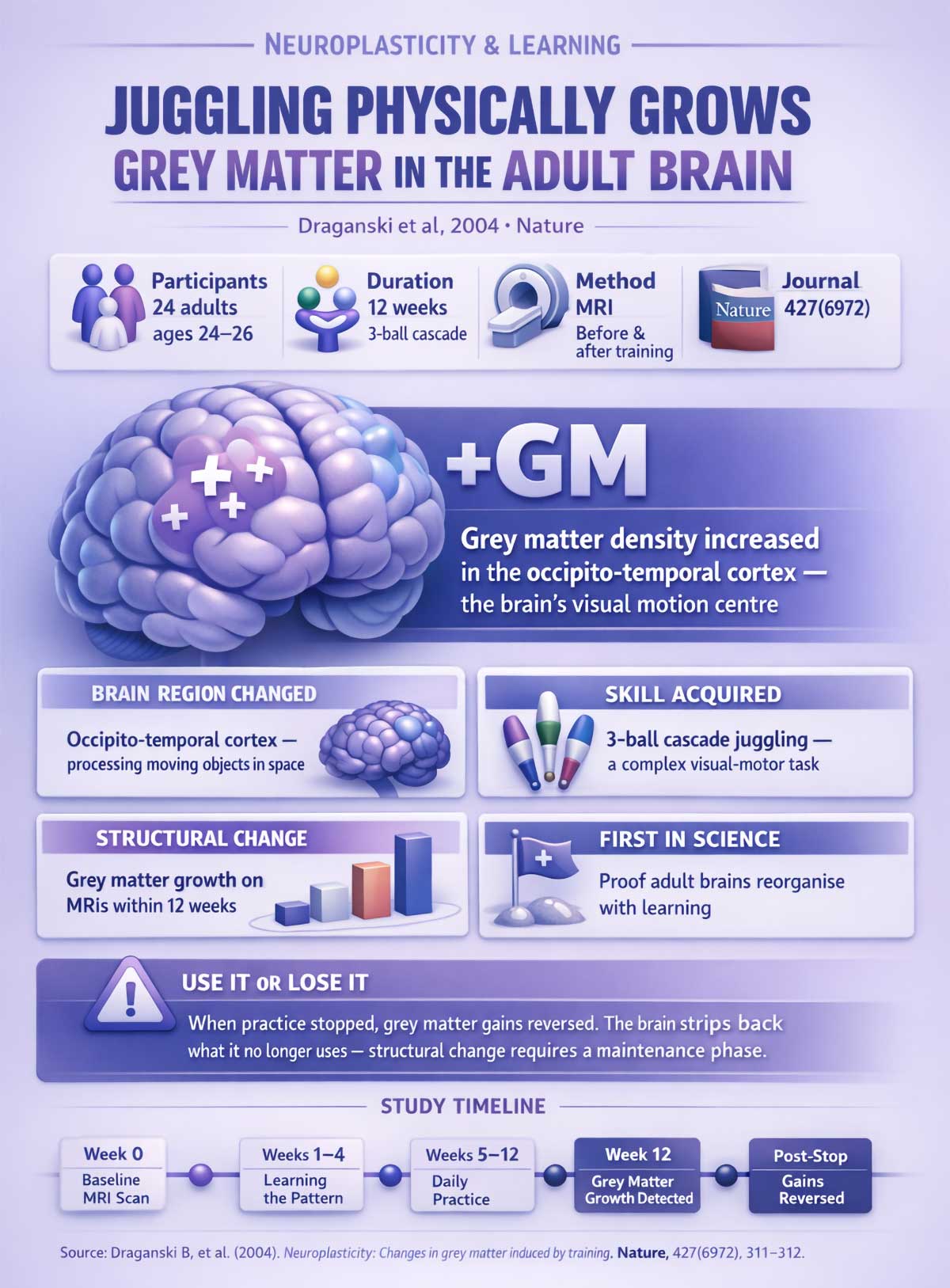 Juggling physically grows grey matter in the adult brain Juggling physically grows grey matter in the adult brain