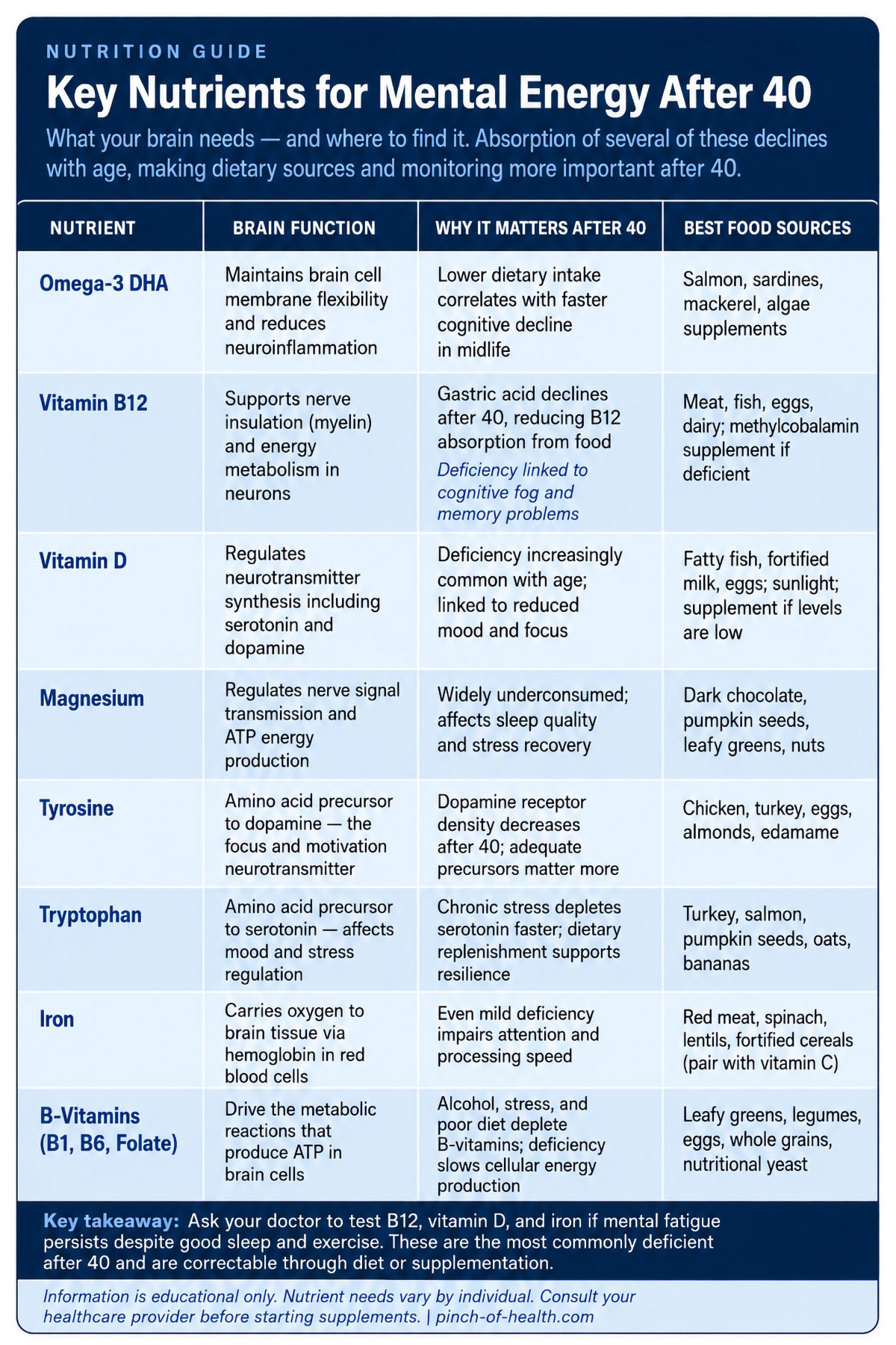 Key Nutrients for Mental Energy After Key Nutrients for Mental Energy After