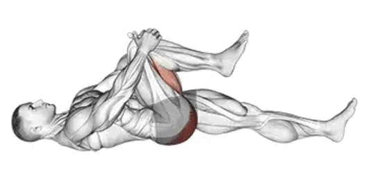 Knee to Chest Stretch Knee to Chest Stretch