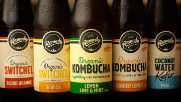 kombucha