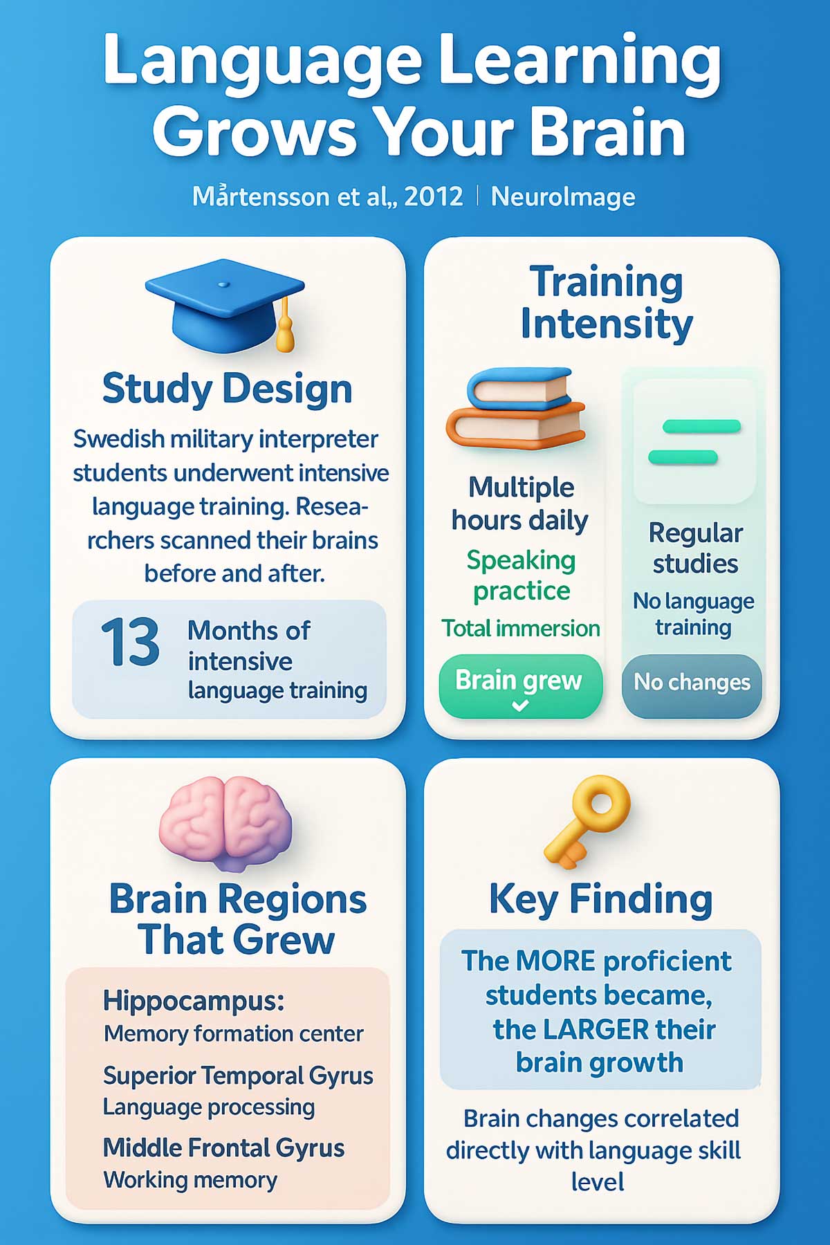 Language learning and brain growth infographic()