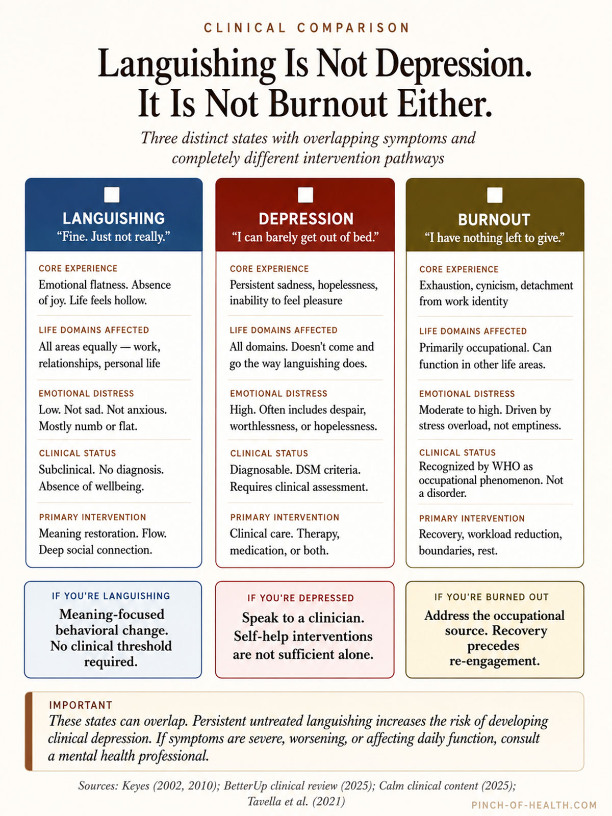 Languishing Is Not Depression Languishing Is Not Depression