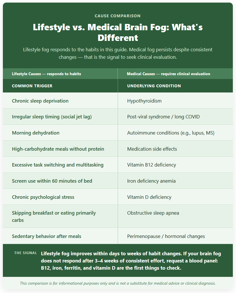 Lifestyle vs. Medical Brain Fog Lifestyle vs. Medical Brain Fog