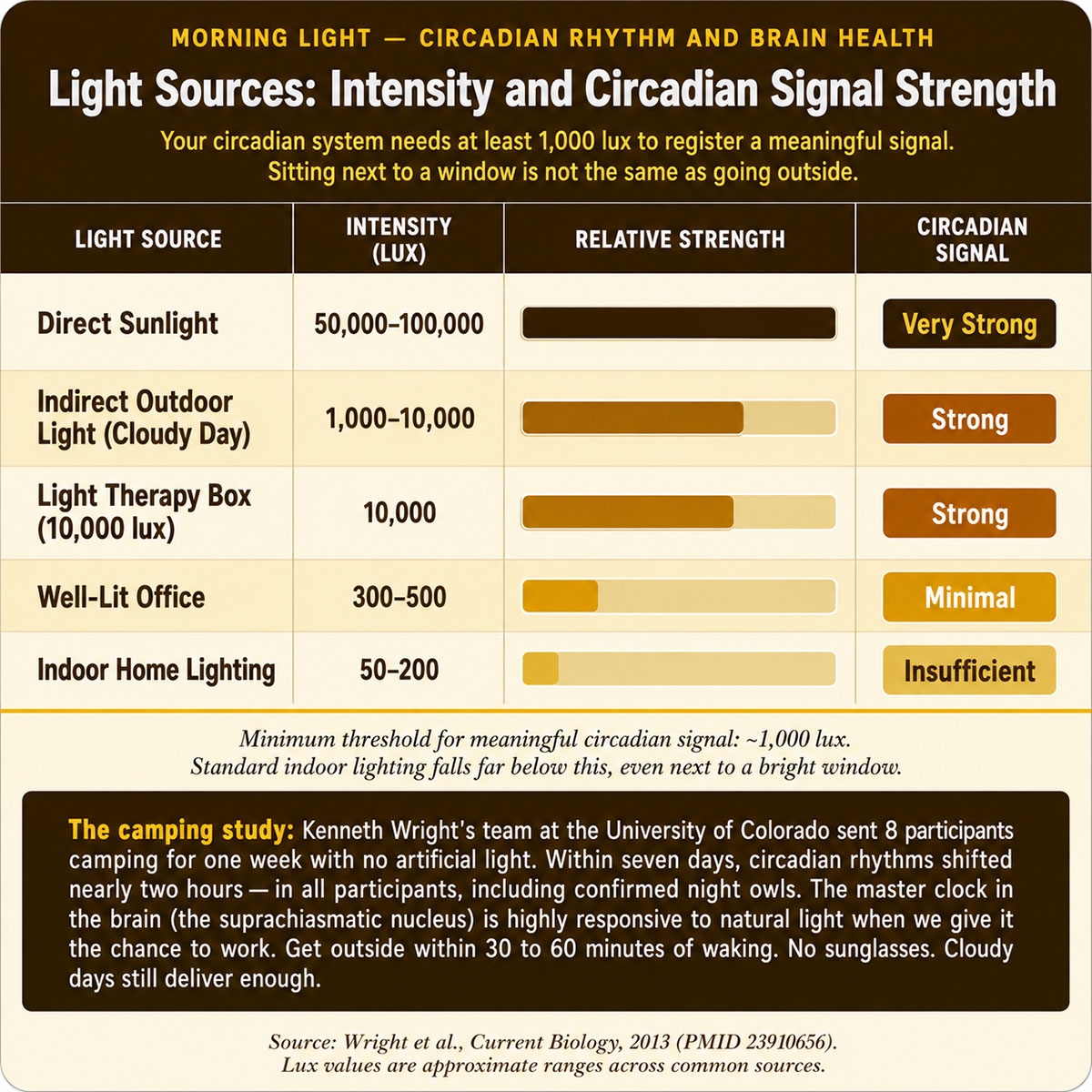 Light Sources Intensity and Circadian Signal Strength Light Sources Intensity and Circadian Signal Strength