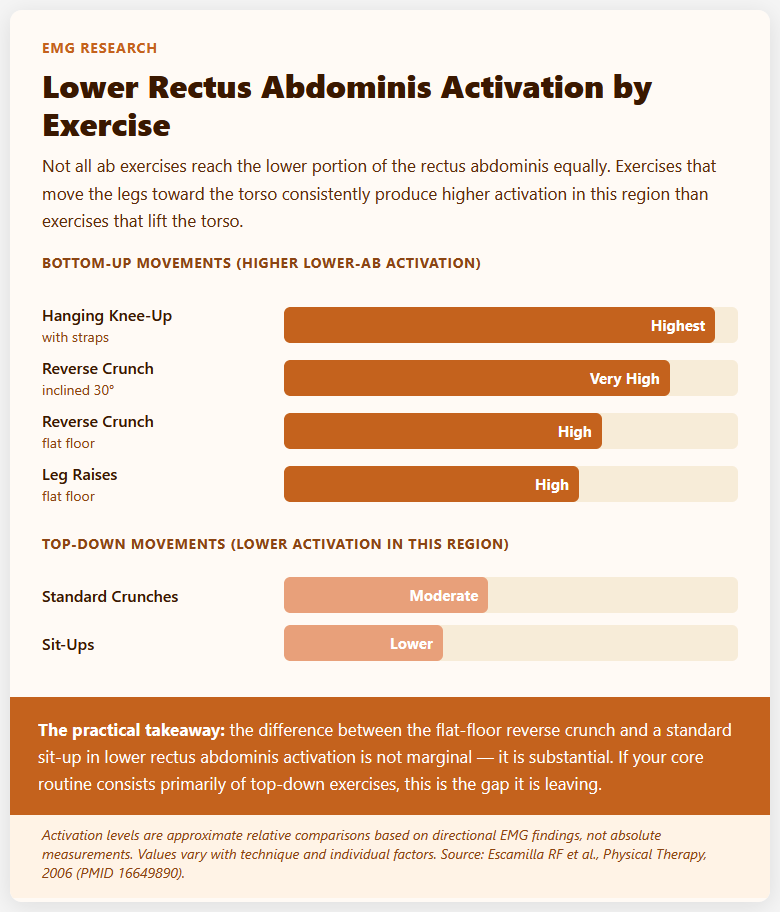 Lower Rectus Abdominis Activation by Exercise Lower Rectus Abdominis Activation by Exercise