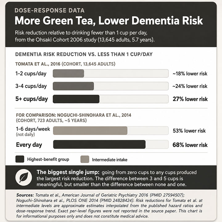 More Green Tea, Lower Dementia Risk More Green Tea, Lower Dementia Risk