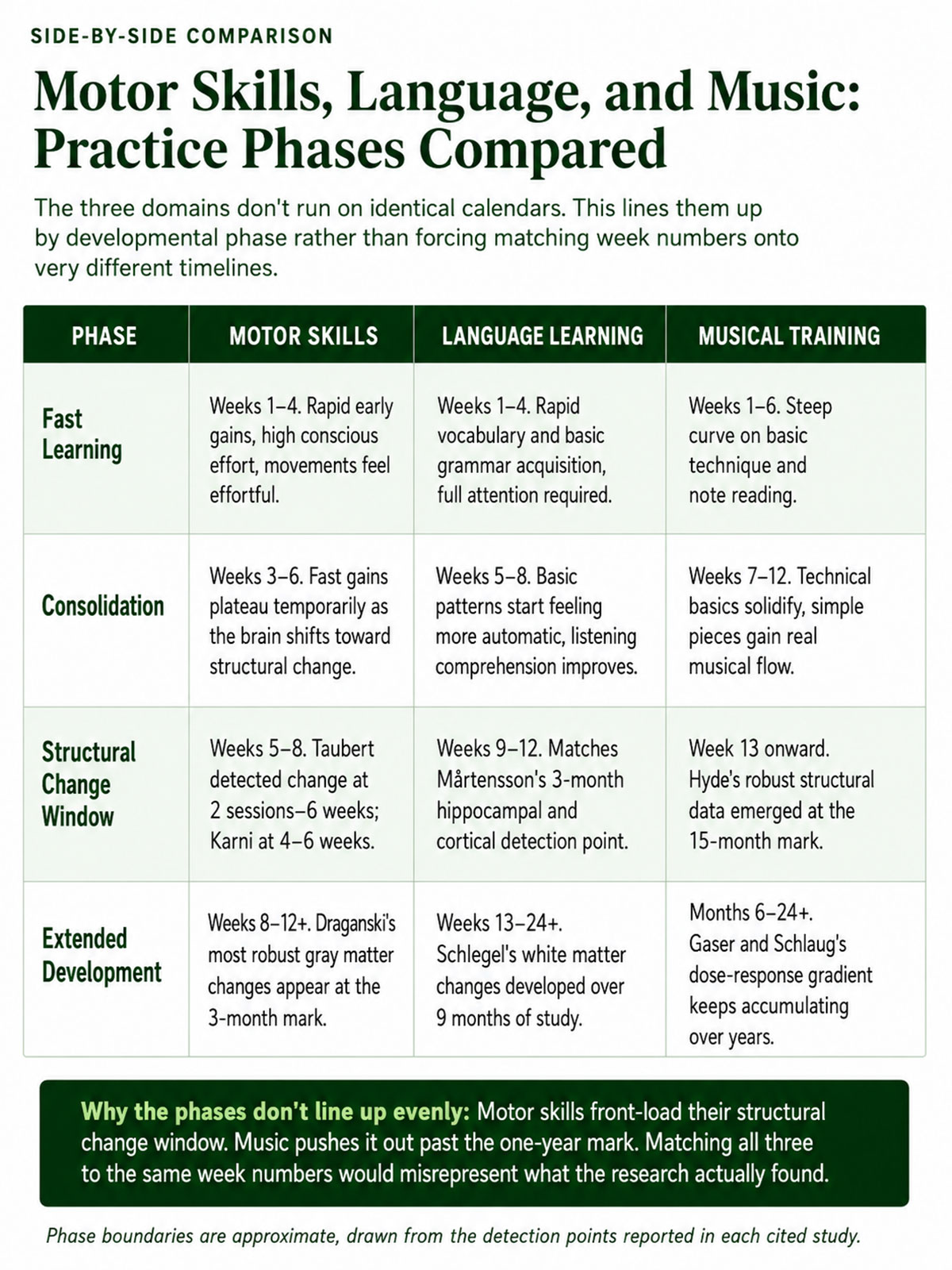 Motor Skills, Language, and Music Practice Phases Compared Motor Skills, Language, and Music Practice Phases Compared
