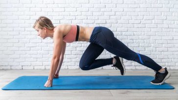 mountain climbers