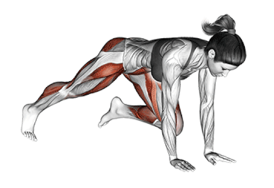 Mountain Climbers