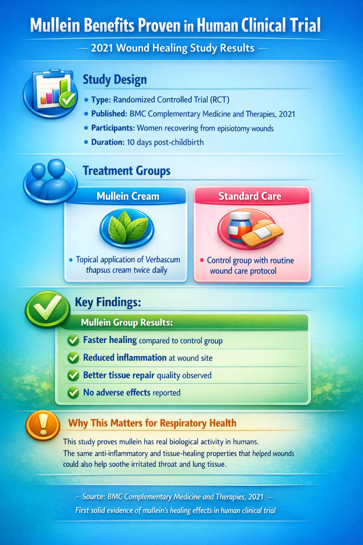 Mullein Benefits Proven in Human Clinical Trial