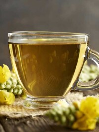 Mullein Tea for Lungs: What the Research Shows
