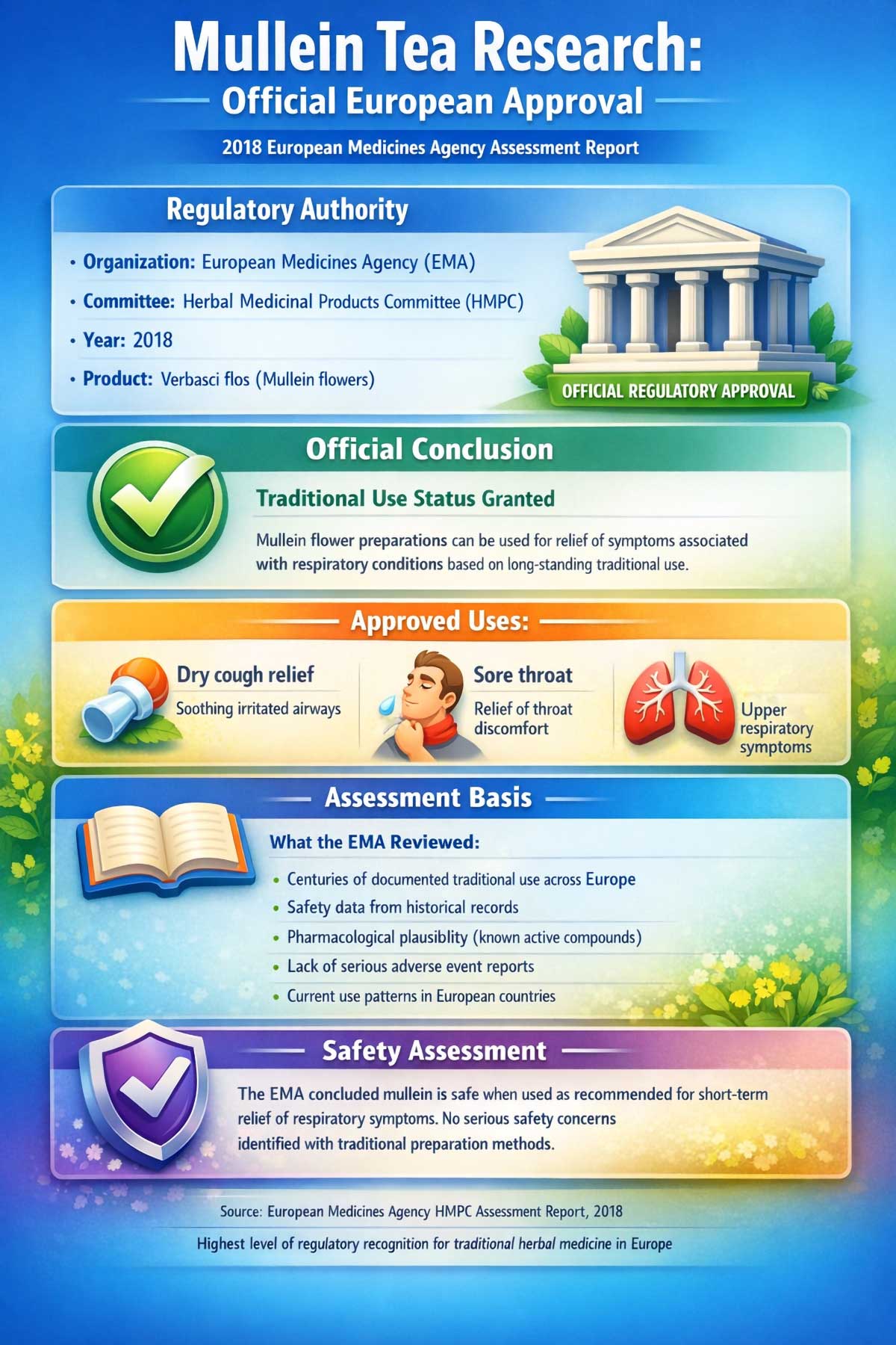 Mullein Tea Research Official European Approval