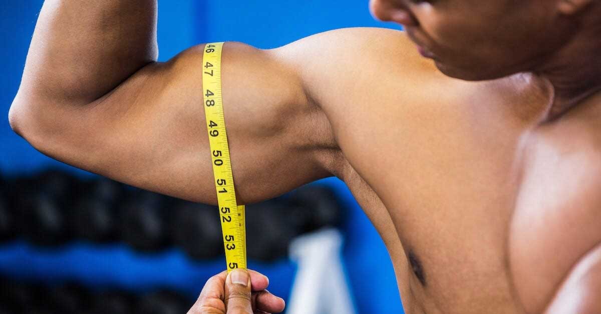 Muscle Growth
